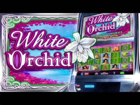 White Orchid Slot Review, Bonuses & Free Play (95.03.
